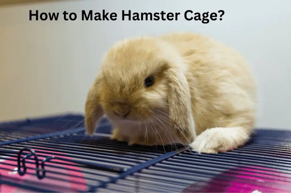 How to Make Hamster Cage?