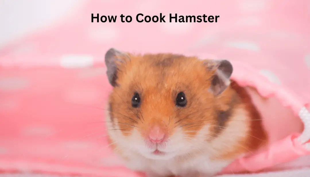 How to Cook Hamster