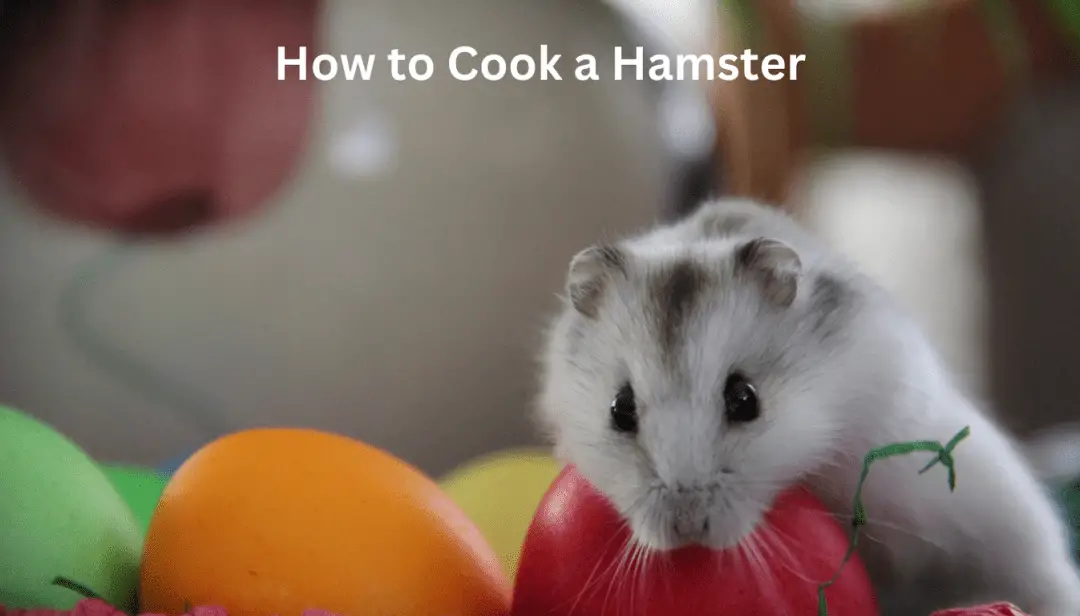 How to Cook a Hamster