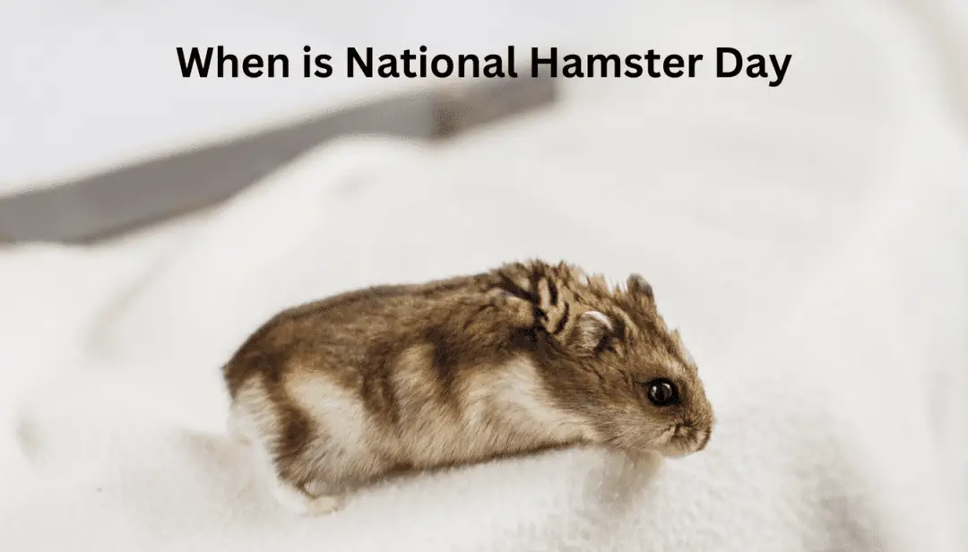 When is National Hamster Day