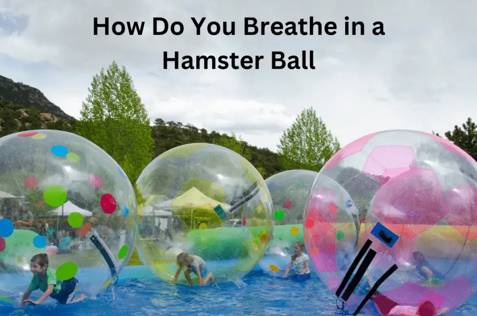 How Do You Breathe in a Hamster Ball