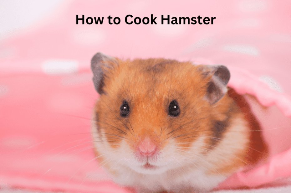 How to Cook Hamster