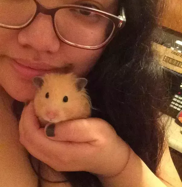 How Long Can a Hamster Be Left Alone